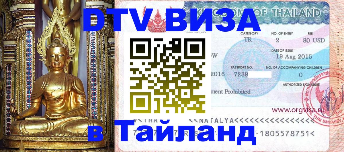 Оформление DTV визы под ключ: стоимость и тарифы, только загранпаспорт - Новочебоксарск  20.11.2025 